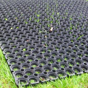 a 22mm Hollow mat laid onto grass showing the wholes on the mat and how the grass grows through.