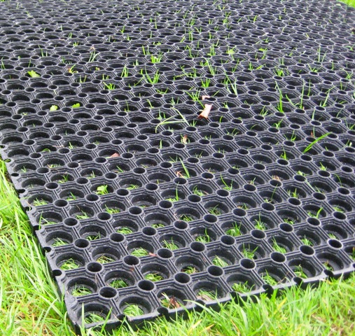 a 22mm Hollow mat laid onto grass showing the wholes on the mat and how the grass grows through.