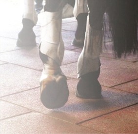 horse pavers