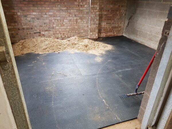 Low profile 17mm Amoebic mats installed in a stable with a bed of shavings ontop