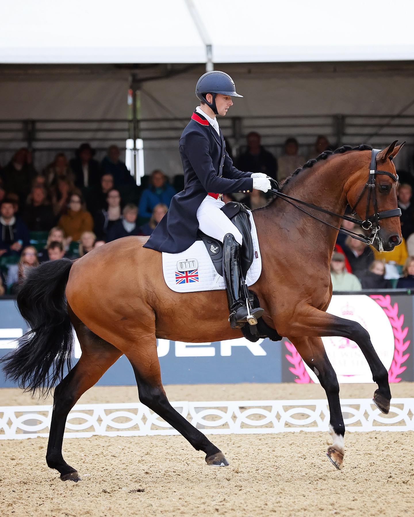 Lewis Carrier and Diago at the Royal windsor show