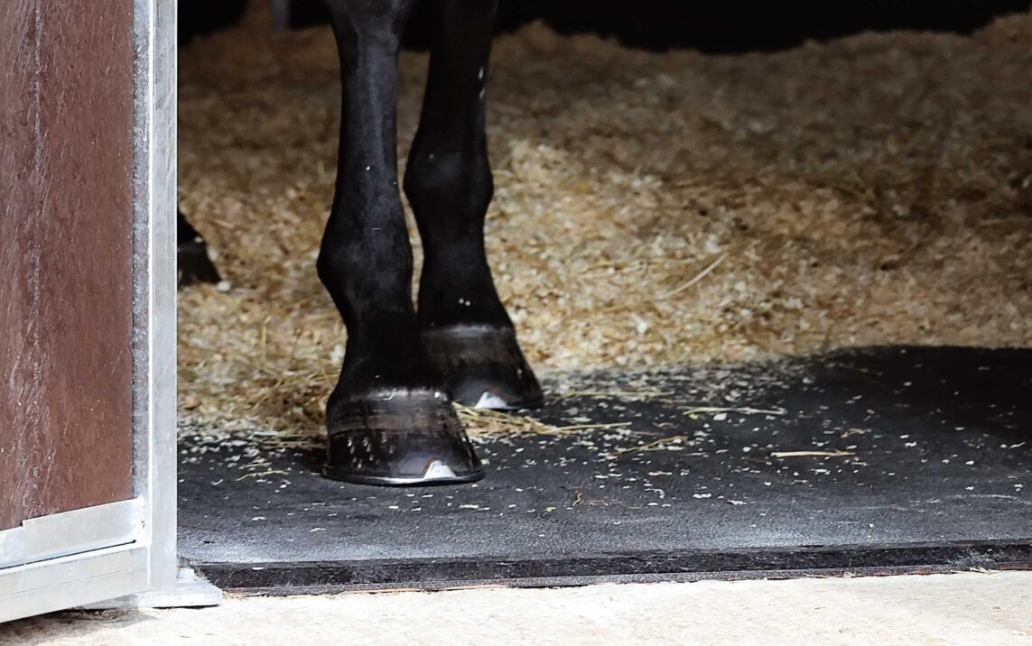 Lewis Carrier with Diego in a stable on stable matting