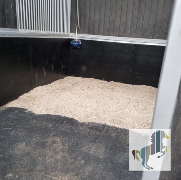 Deluxe wall panels installed into a stable with the bedding in the stable